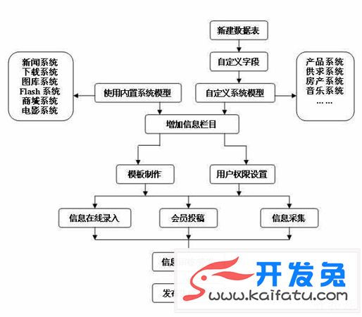 帝国CMS建站流程