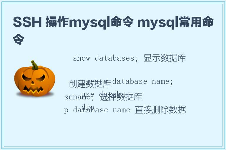 SSH 操作mysql命令 mysql常用命令